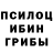 Галлюциногенные грибы Psilocybine cubensis varvar009