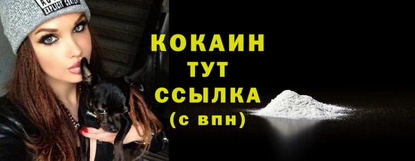 ALPHA-PVP Кинешма