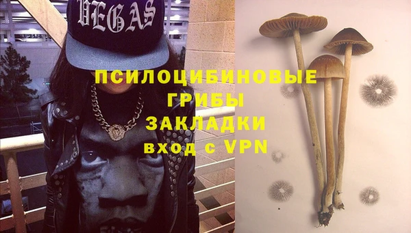 дживик Киреевск