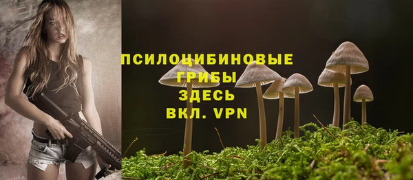 дживик Киреевск