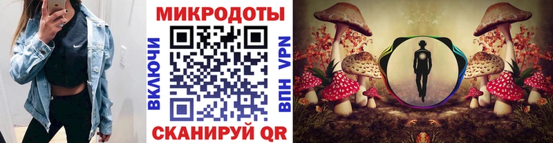 цены наркотик  Тамбов  кракен рабочий сайт  Галлюциногенные грибы Psilocybine cubensis 