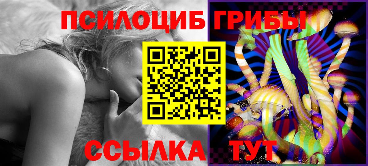 Тамбов  Псилоцибиновые грибы MAGIC MUSHROOMS  Вход с VPN 