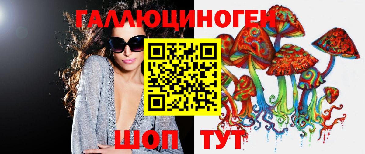 Псилоцибиновые грибы GOLDEN TEACHER Тамбов